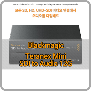 Blackmagic Teranex Mini SDI to Audio 12G [블랙매직디자인]
